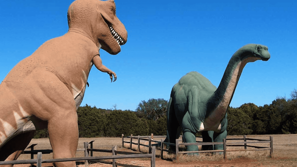 Dinosaur valley state park