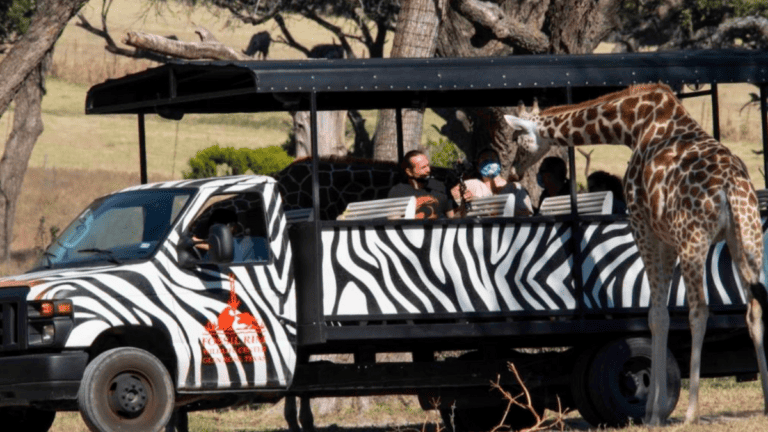 Fossil Rim Wildlife Center: Fun Safari Guided Tour