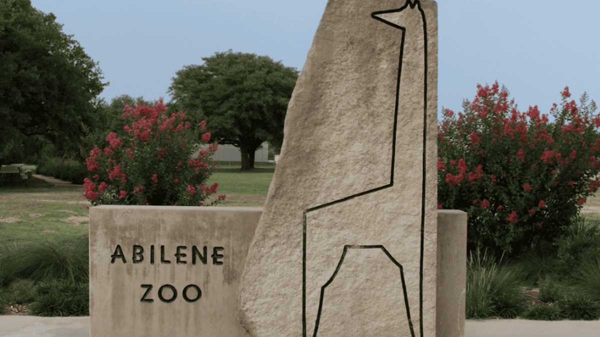 the statue at the front entrance of the abilene zoo